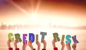 creditrisk350204